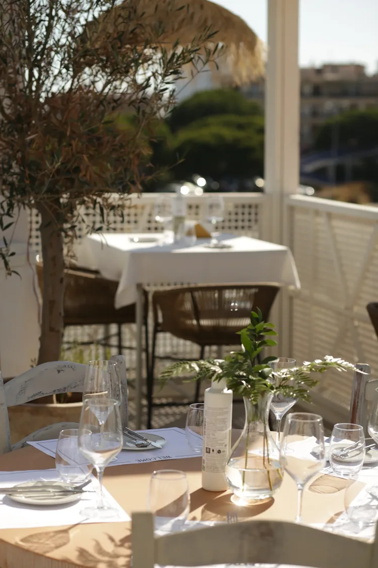 Terrace at salú Calahonda, El Zoco